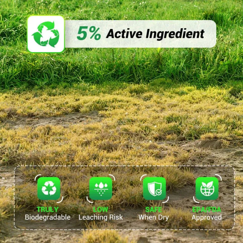 Cyclosinone Herbicide Granules  (🔥BUY 1 Pack GET 1 Pack FREE )