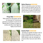 Cyclosinone Herbicide Granules  (🔥BUY 1 Pack GET 1 Pack FREE )